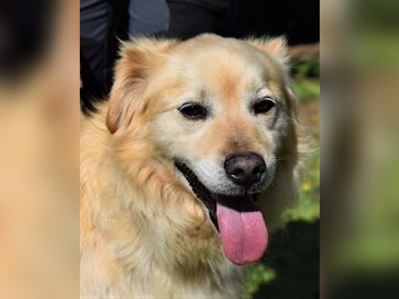 Alemix - Im zweiten Anlauf neuer Altersruhesitz gesucht