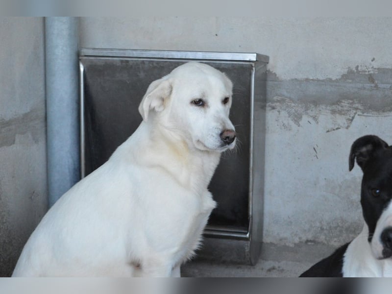 Cyra - Cyra, bald bist auch Du dran!