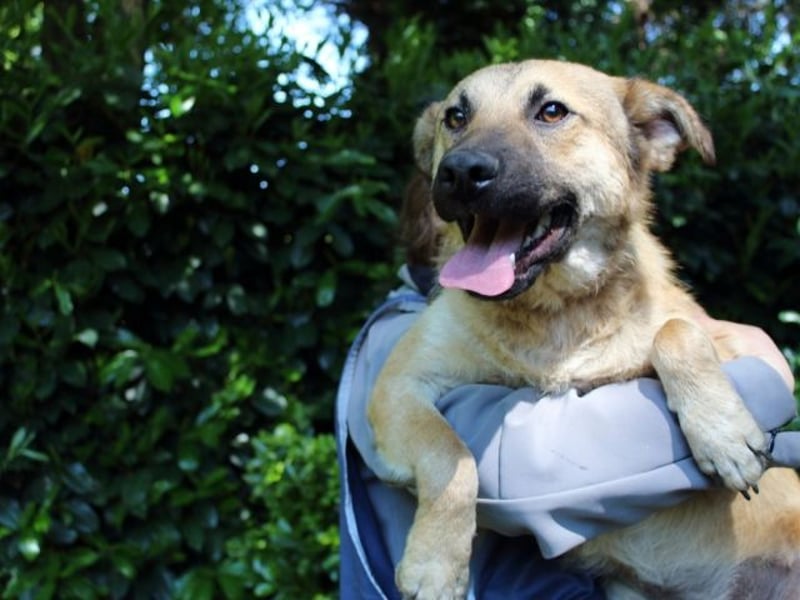 Zeebo - Z wie Zuckersüß und Zauberhaft