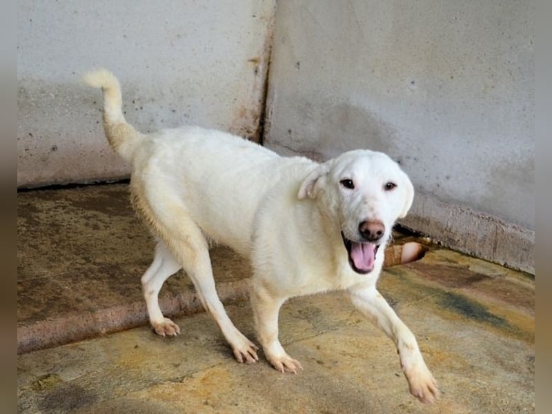 Arriel - aller guten Dinge sind drei