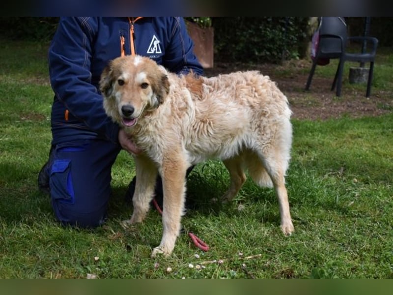 Ligorio - Zwölf, elf, zehn ... eins - Ligorio