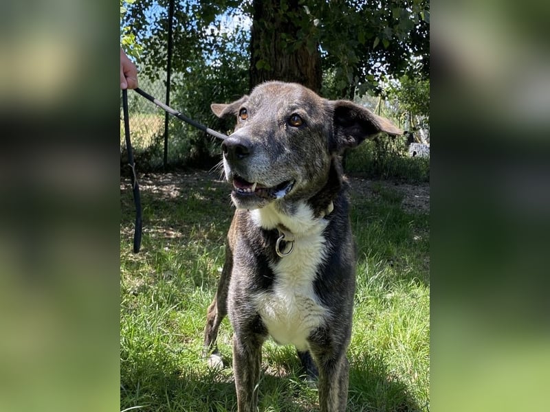 Lola - Das Herz hat seine Gründe