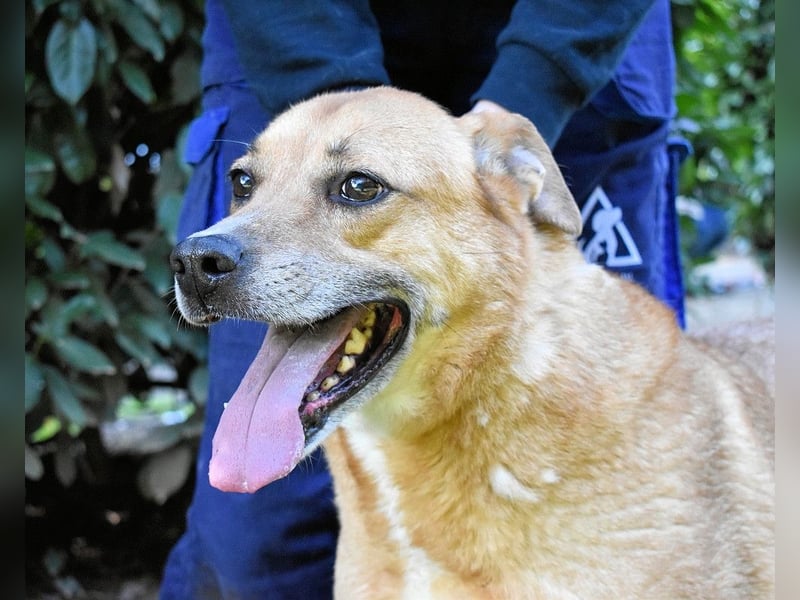 Cesny - Noch ist es nicht zu spät, aber es wird höchste Zeit!