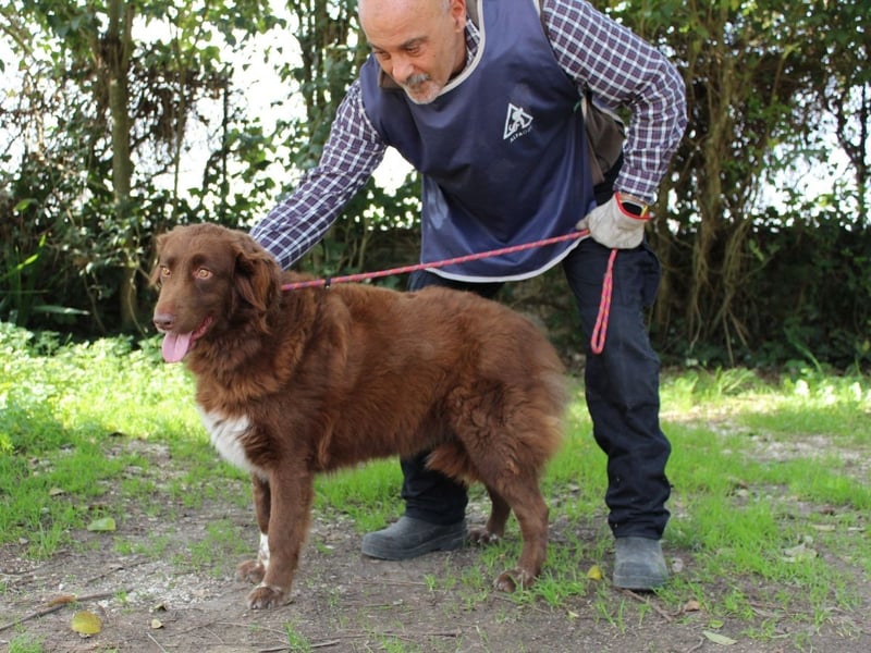 Beckey - Berufswunsch Prinzessin