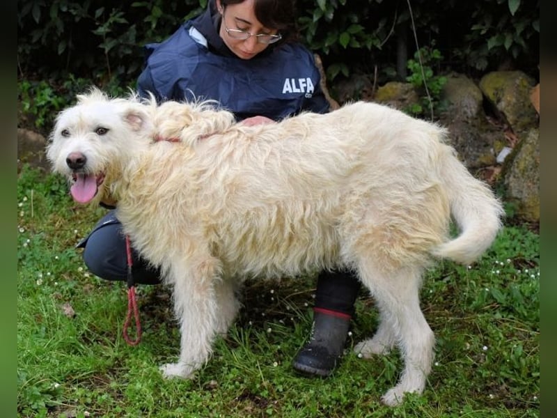 Gatsby - Der große Gatsby sucht seine Daisy