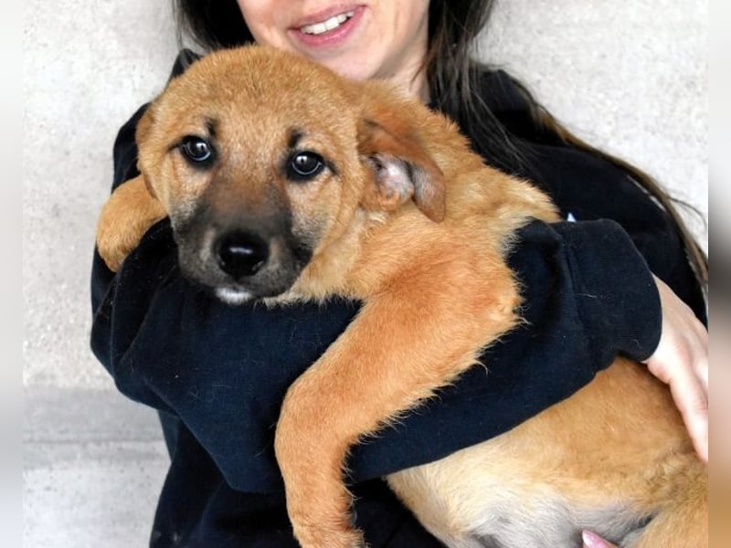 Mivelle - Es soll DEIN Leben werden