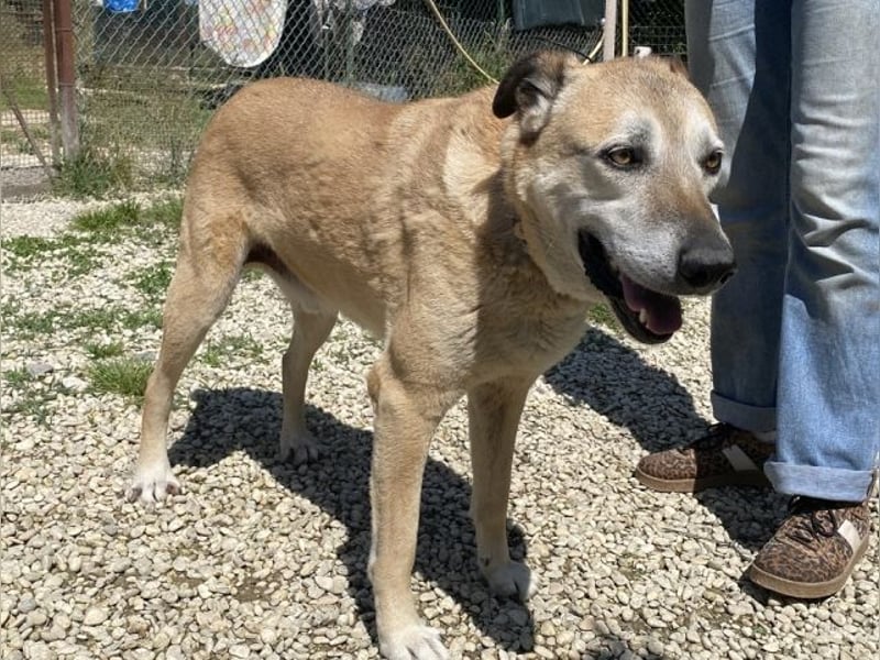 Plugh - Opa Plugh möchte die Welt - und Sie! kennenlernen