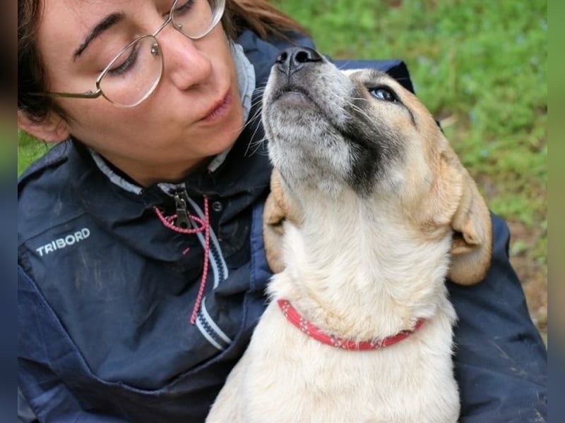 Solidea - 744 Stunden