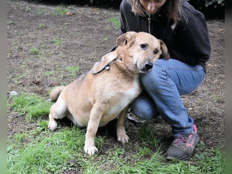 Kairo - möchte einfach nur genießen