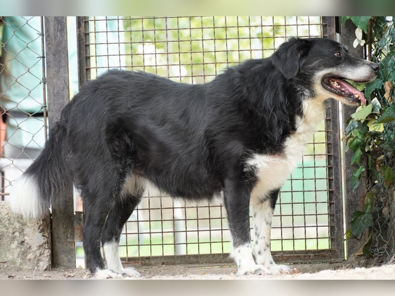 Carmine - Bereit für den Neustart