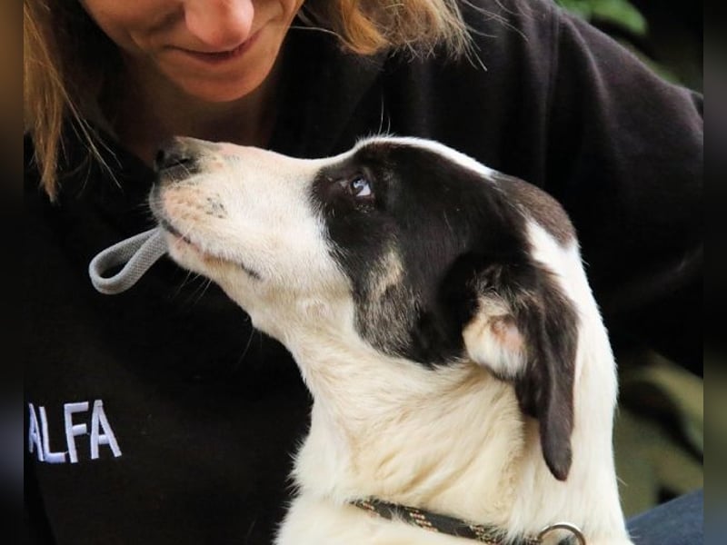 Marius - We proudly present...