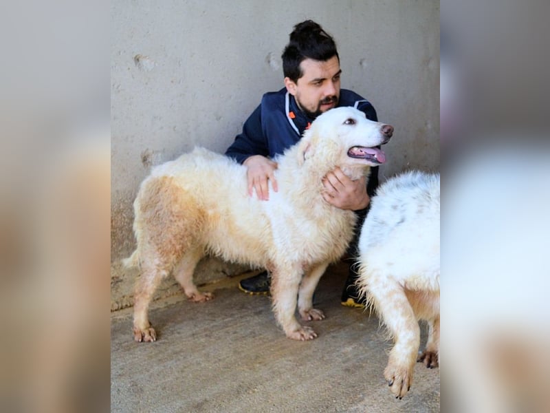 Abreena - Selbstbewusst, verspielt und voller Zuneigung