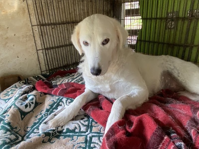 Numa - Gesucht: warmes Plätzchen, um aufzutauen