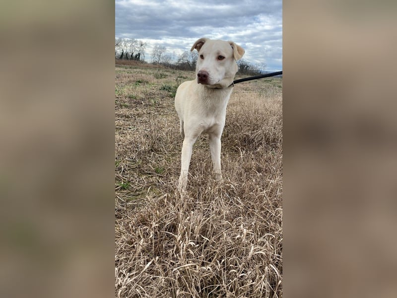 Titanio - er findet seinen Weg