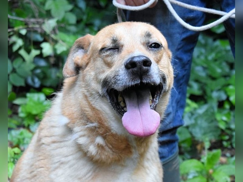 Cesny - Noch ist es nicht zu spät, aber es wird höchste Zeit!