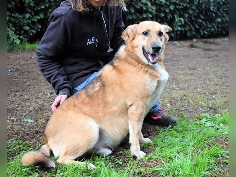 Kairo - möchte einfach nur genießen