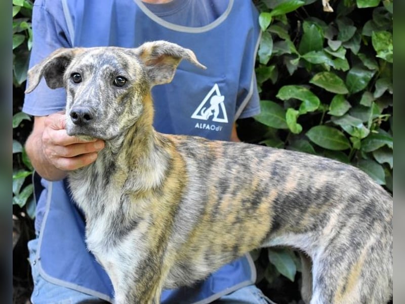 Uladine - hat alles verloren...