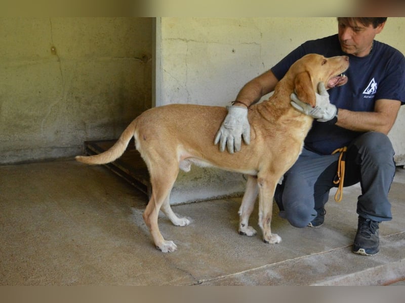 Dioneo - NOTFALL - Zeit heilt hier nichts