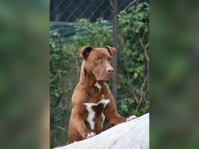 Birdy - Ich glaube, es wird Frühling