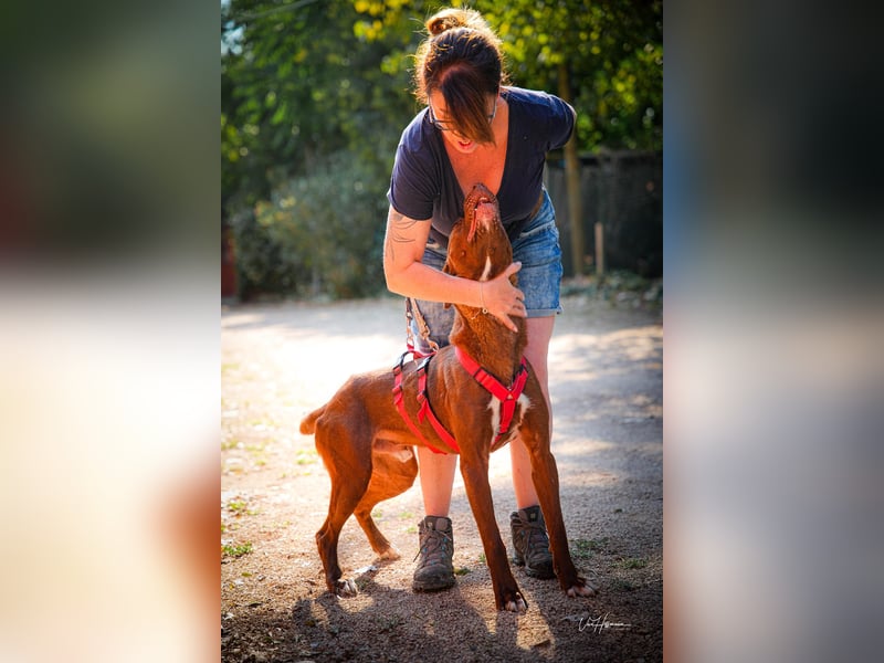 Birdy - Ich glaube, es wird Frühling