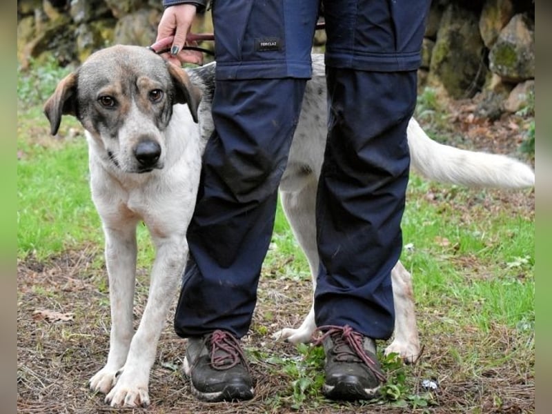 Helder - spricht für sich