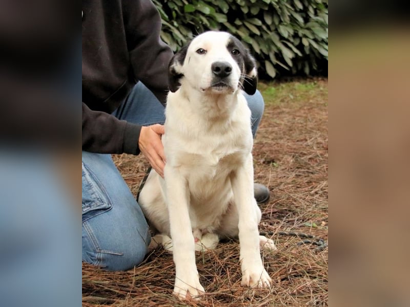 Marius - We proudly present...