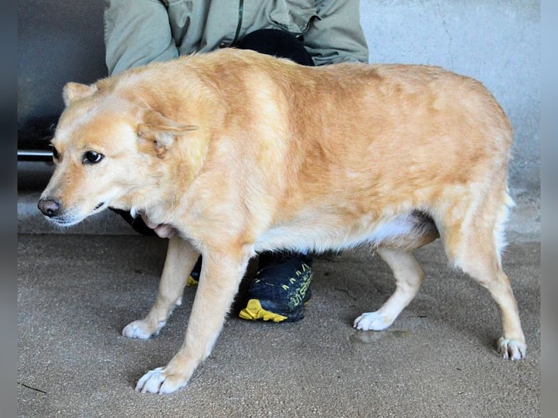 Ariana - lange sitzen sie schon da und haben es schwer
