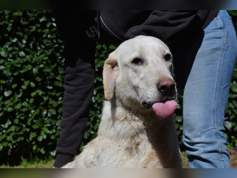 Shaydon - Ein riesiges Missverständnis!