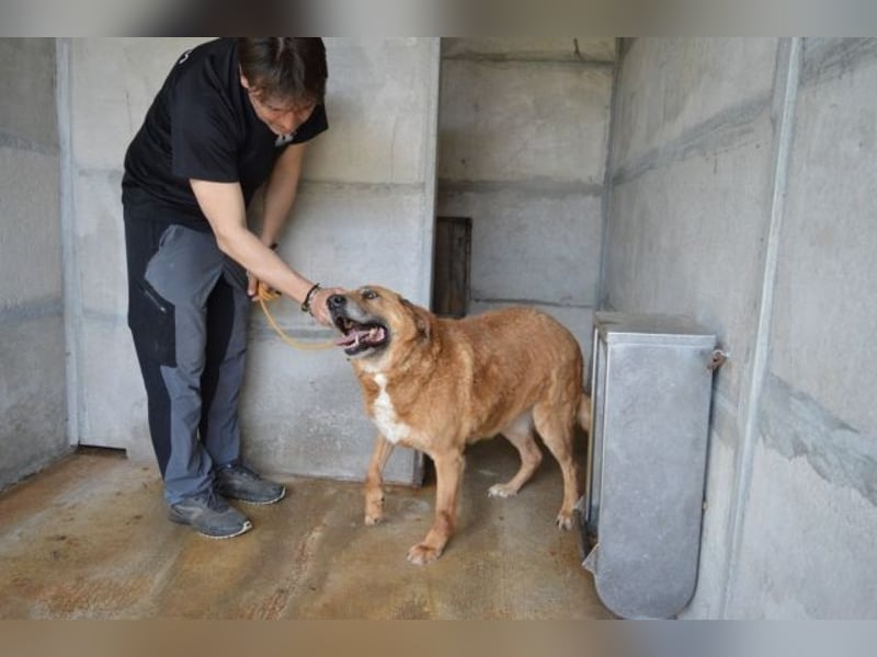 Kemp - Runder Rundum-Schatz