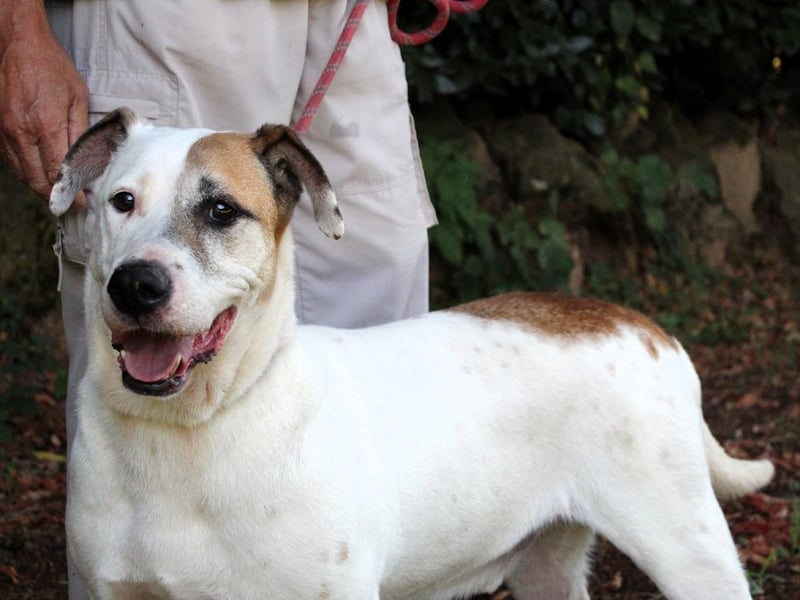 Argo - hungrig auf Leben und Er-Lebnisse