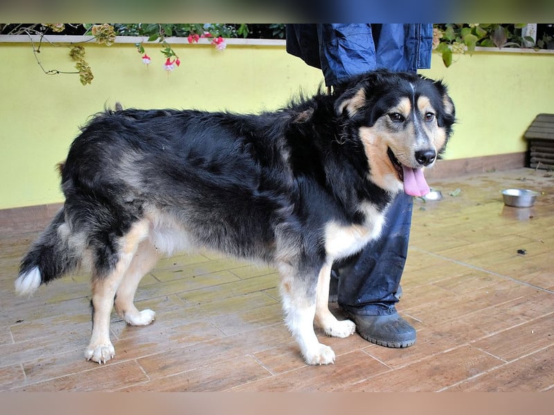 Oliverio - ohne Anklage hinter Gittern