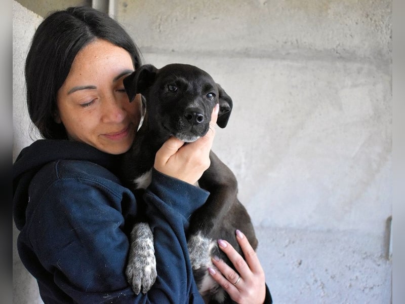 Marisca - NOTFALL - Dringend Zuhause gesucht - Es soll DEIN Leben werden