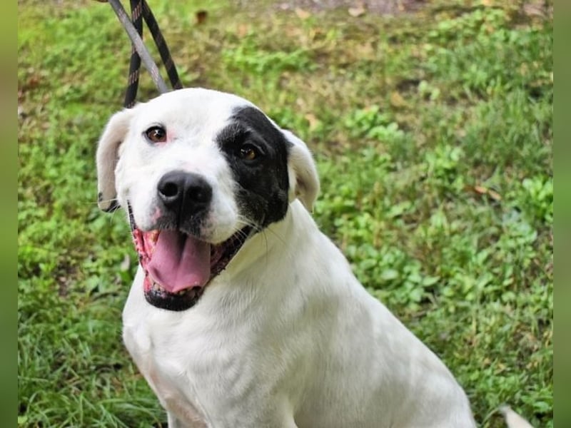 Olindina - Wie gut du bist, das zeigt sich an schlechten Tagen