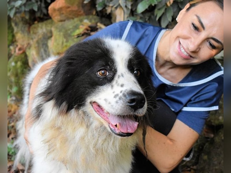 Puccie - unser liebes Mädchen...