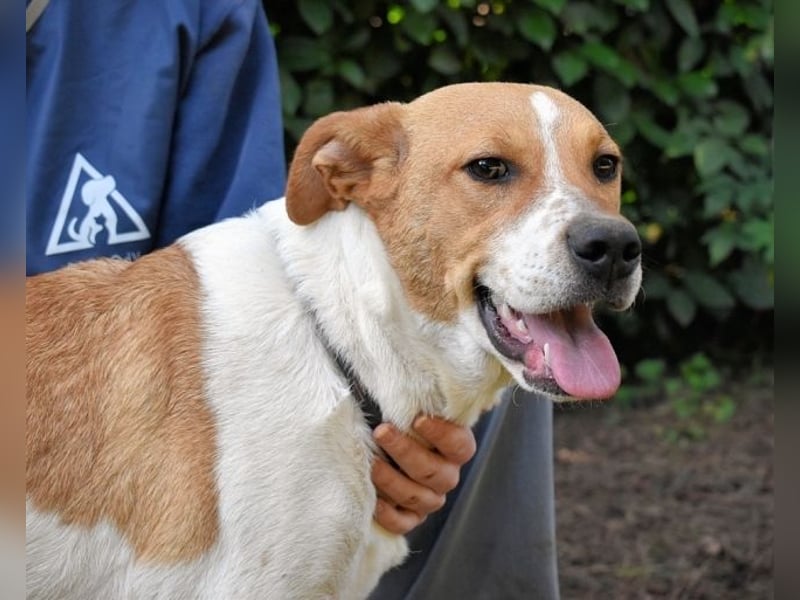 Zela - Z wie Zuckersüß und Zauberhaft