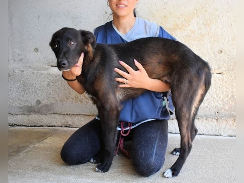 Ouzo - "Und wenn sie nicht weg sind......