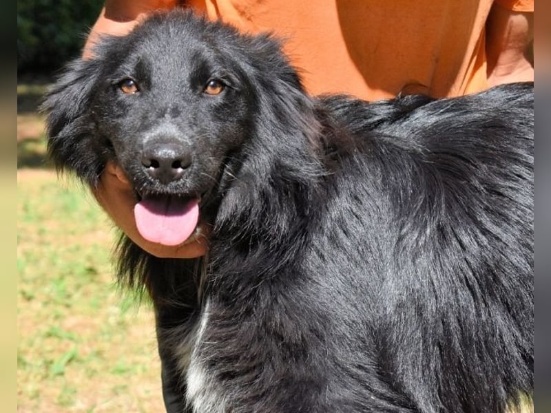 Settimio - Ich bin da, jetzt läuft's!?