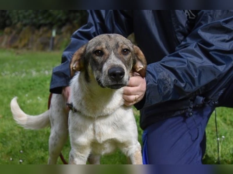 Helder - spricht für sich