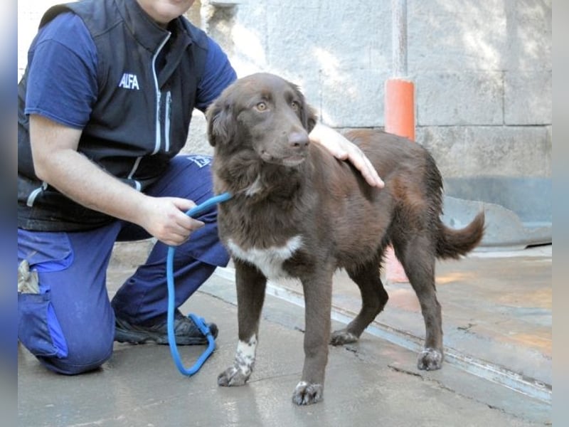 Beckey - Berufswunsch Prinzessin