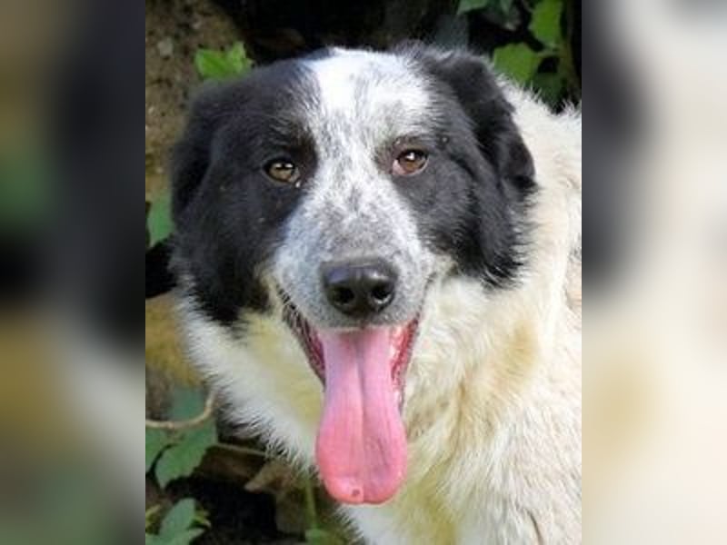 Jasmine - Wer nicht neugierig ist, erfährt nichts!