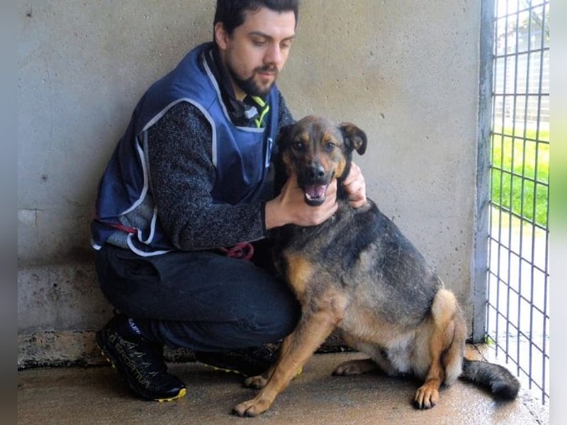Alvis - Zurückgelassen mit nichts als Hoffnung