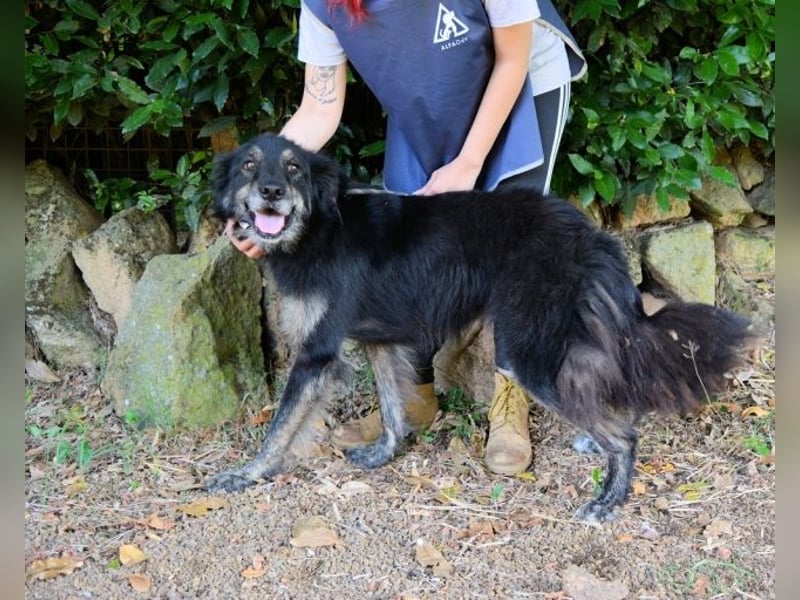 Pinot - "Unmöglich!" sagte die Tatsache... Pinot - "Unmöglich!" sagte die Tatsache...