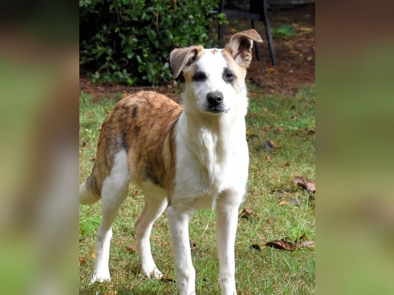 Milde - Ein Flüstern, das sagt: "Du bist sicher."