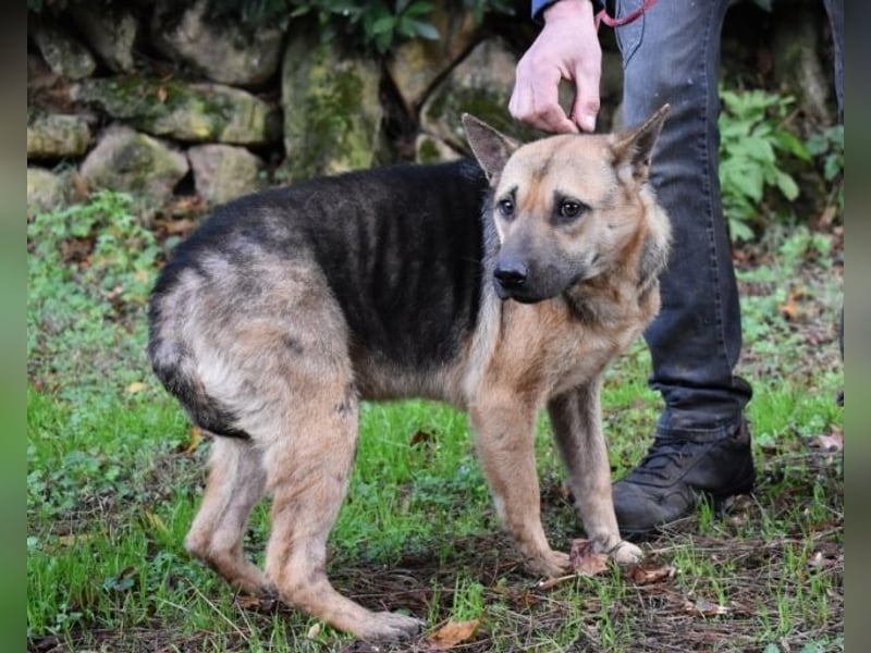 Alvida - warum tun sie das?