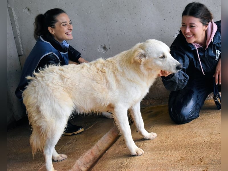 Sadye - Liebevolle Zuwendung....