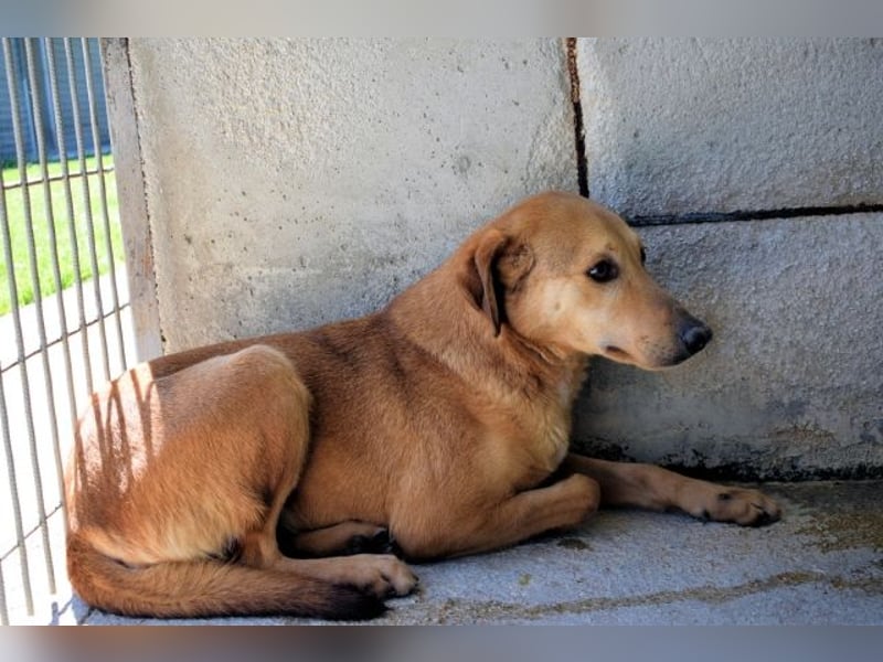 Benno - wenn du mutig bist, dann bin ich es auch!