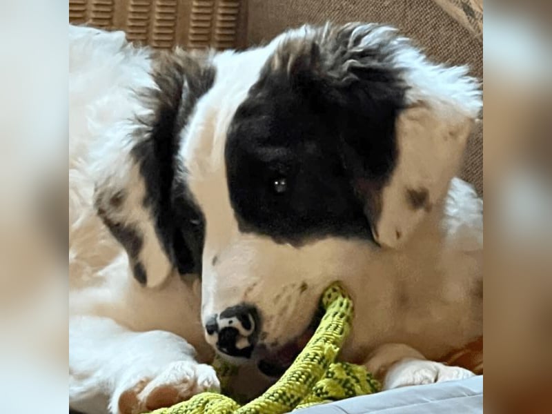 Ingo -  Neunmal werden wir noch wach...