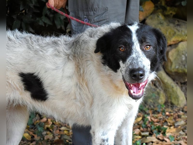 Jessie - Wer nicht neugierig ist, erfährt nichts