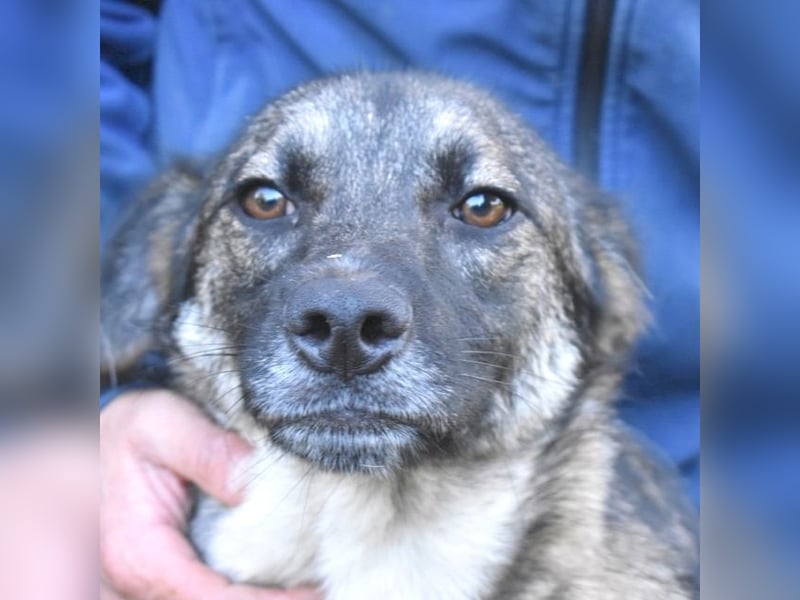 Silvana - im Eilschritt nach Hause?