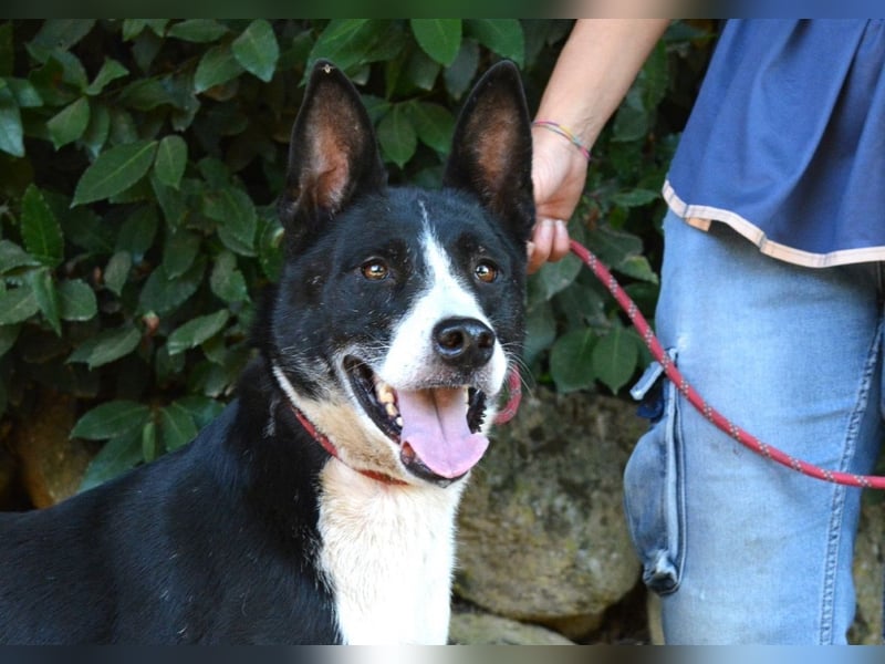 Edelmira - Das Leben in homöopathischen Dosen kennenlernen